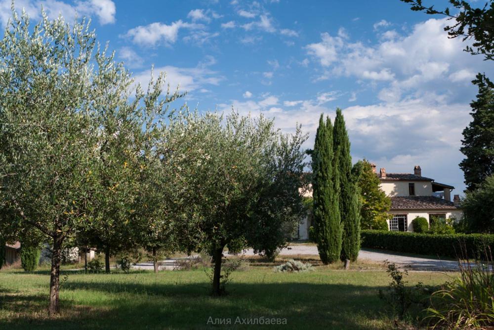 Bed and Breakfast Terra Della Lanterna Cetona Exterior foto